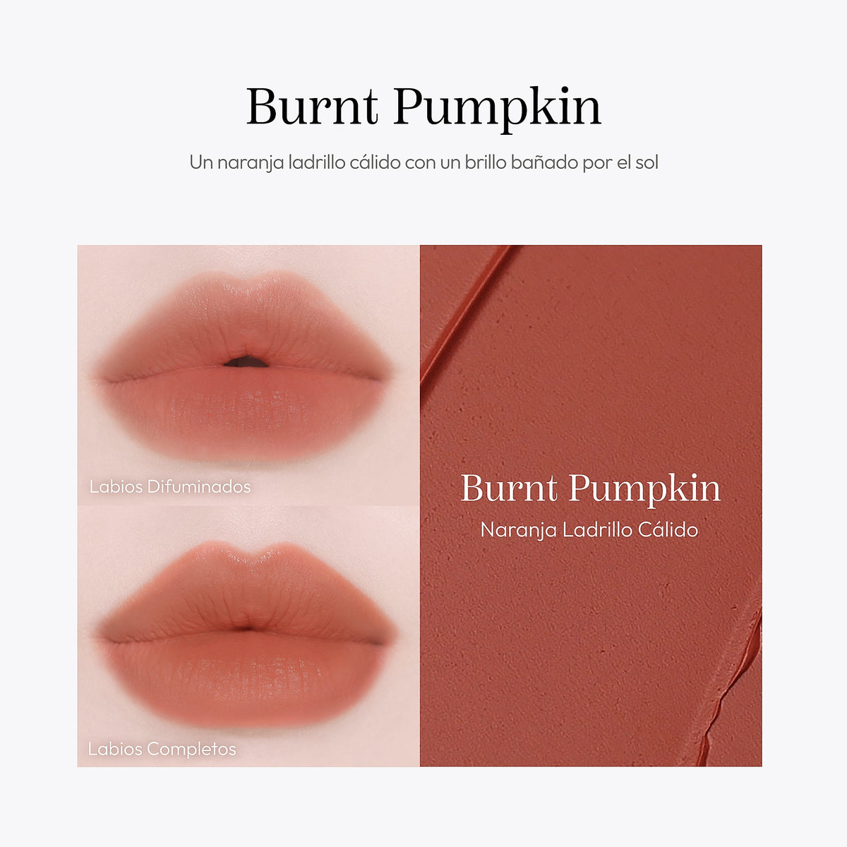 🚀 Hevvy Makeup Blurring Effect Lip Tint - Burnt Pumpkin - imagen 5