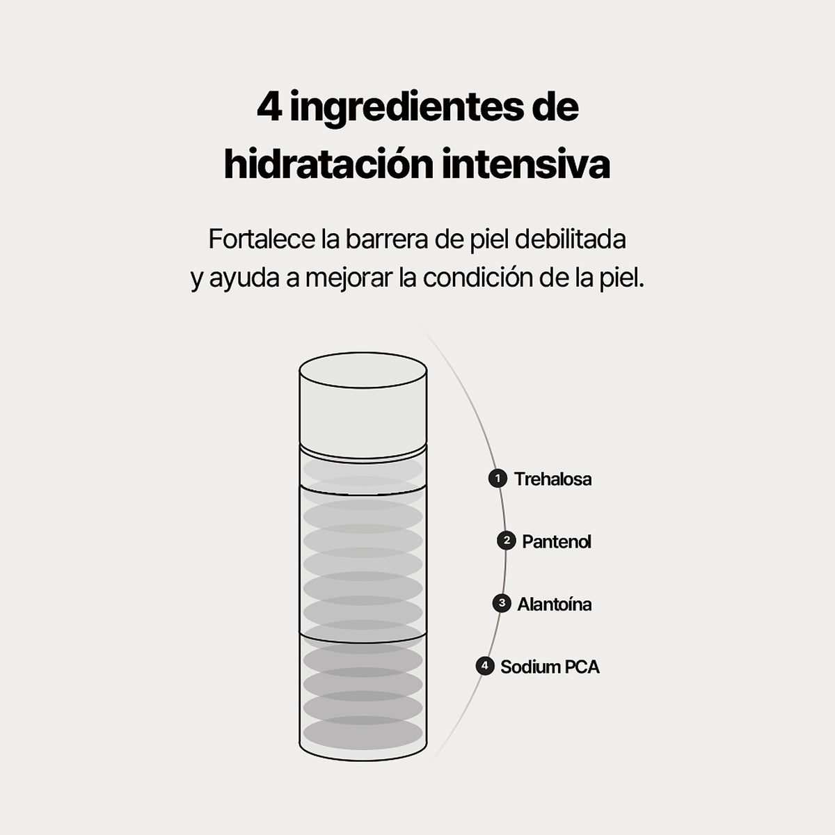 🚀 Thenewgrey Ginseng Exosome Toner - imagen 8