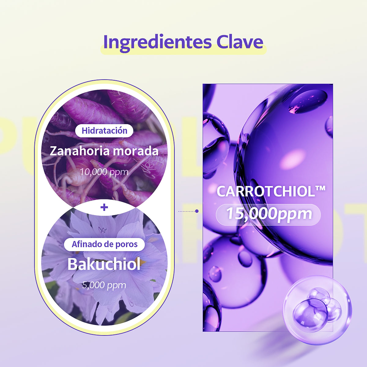 🚀 Cellology Purple Carrot Pore Ampoule 30mL - imagen 5