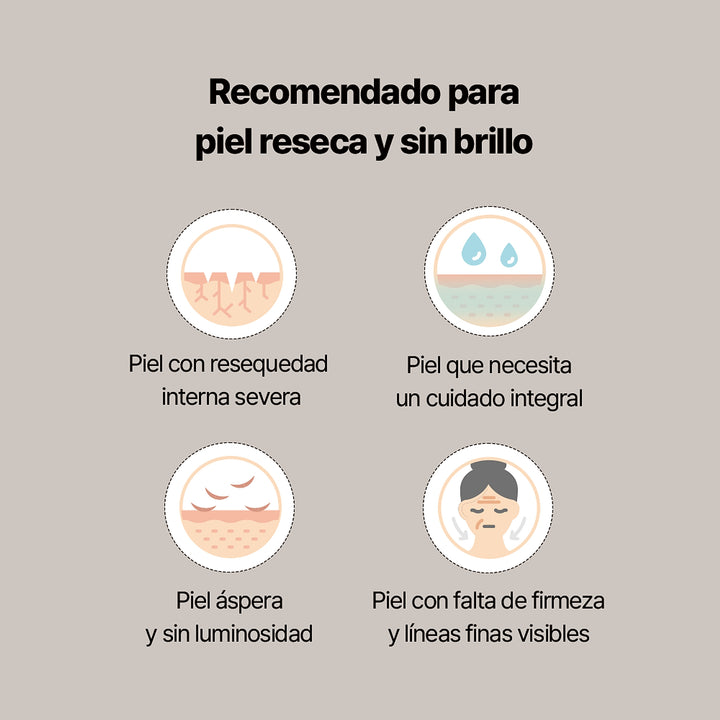 🚀 Thenewgrey Ginseng Exosome Ampoule - imagen 4