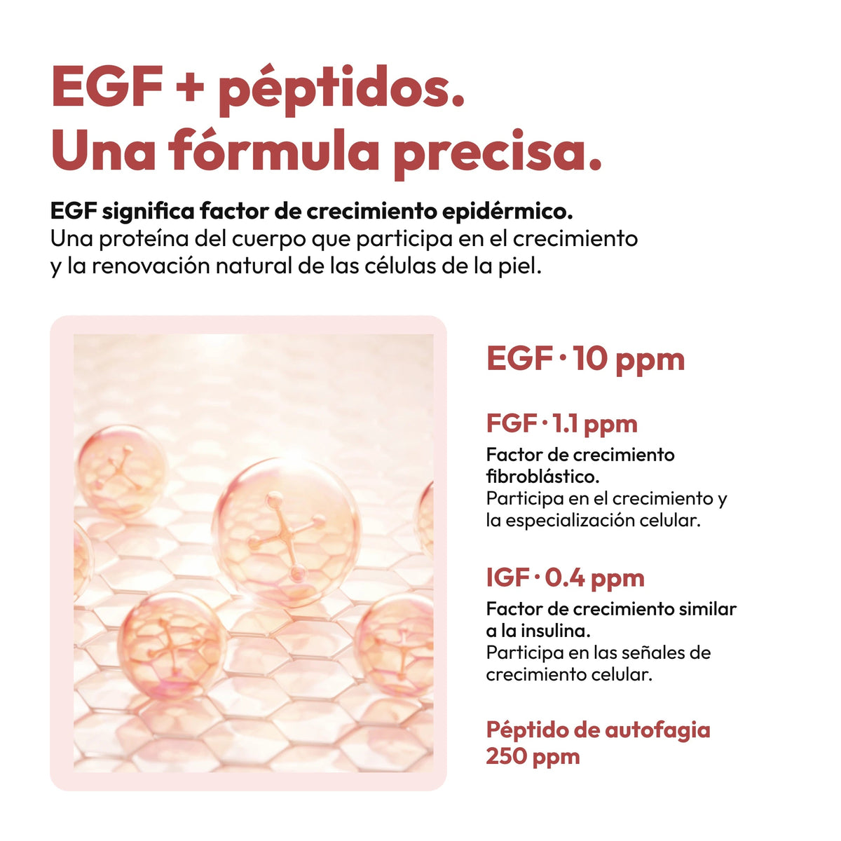 Demaf EGF Peptide Ampoule 60 ml · Ingredientes