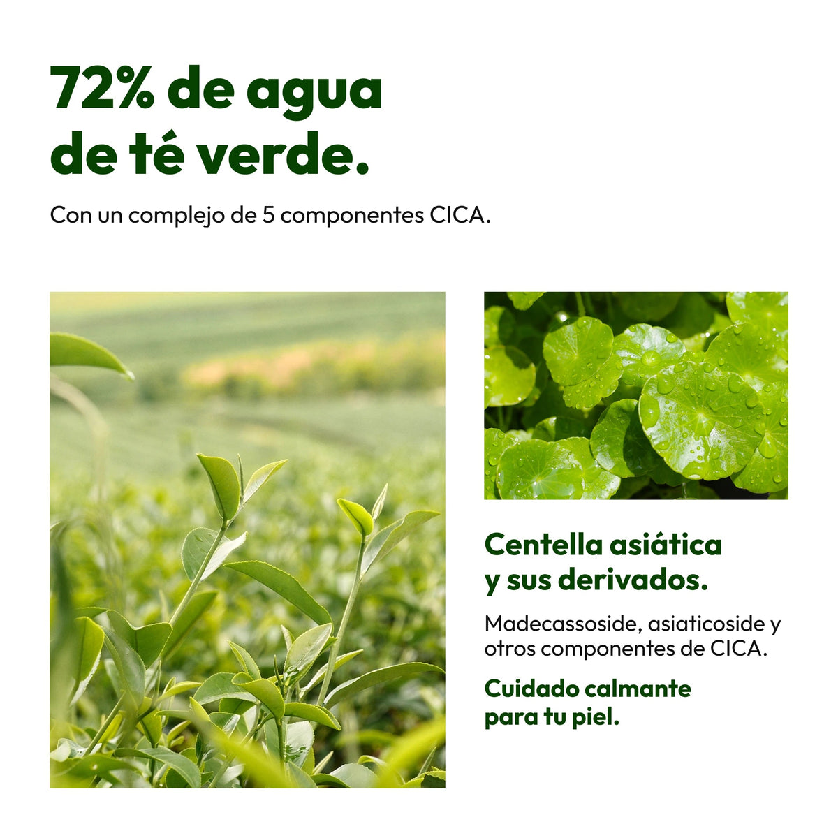 Demaf Green Cica Pore Ampoule 60 ml · Ingredientes