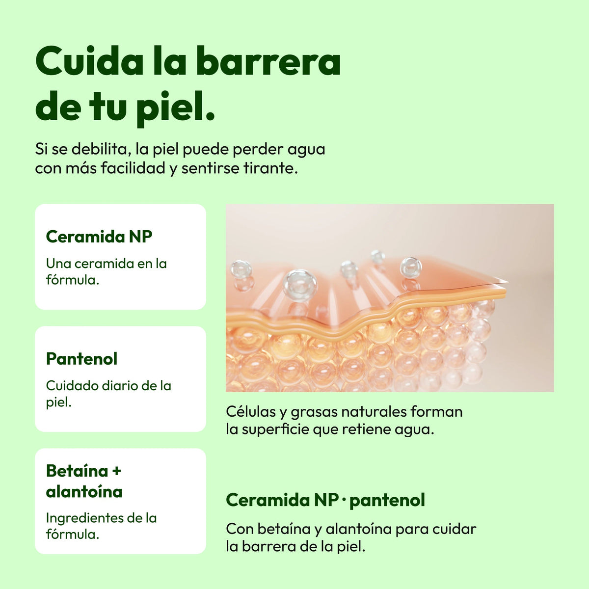 Demaf Green Cica Pore Ampoule 60 ml · Barrera de la piel