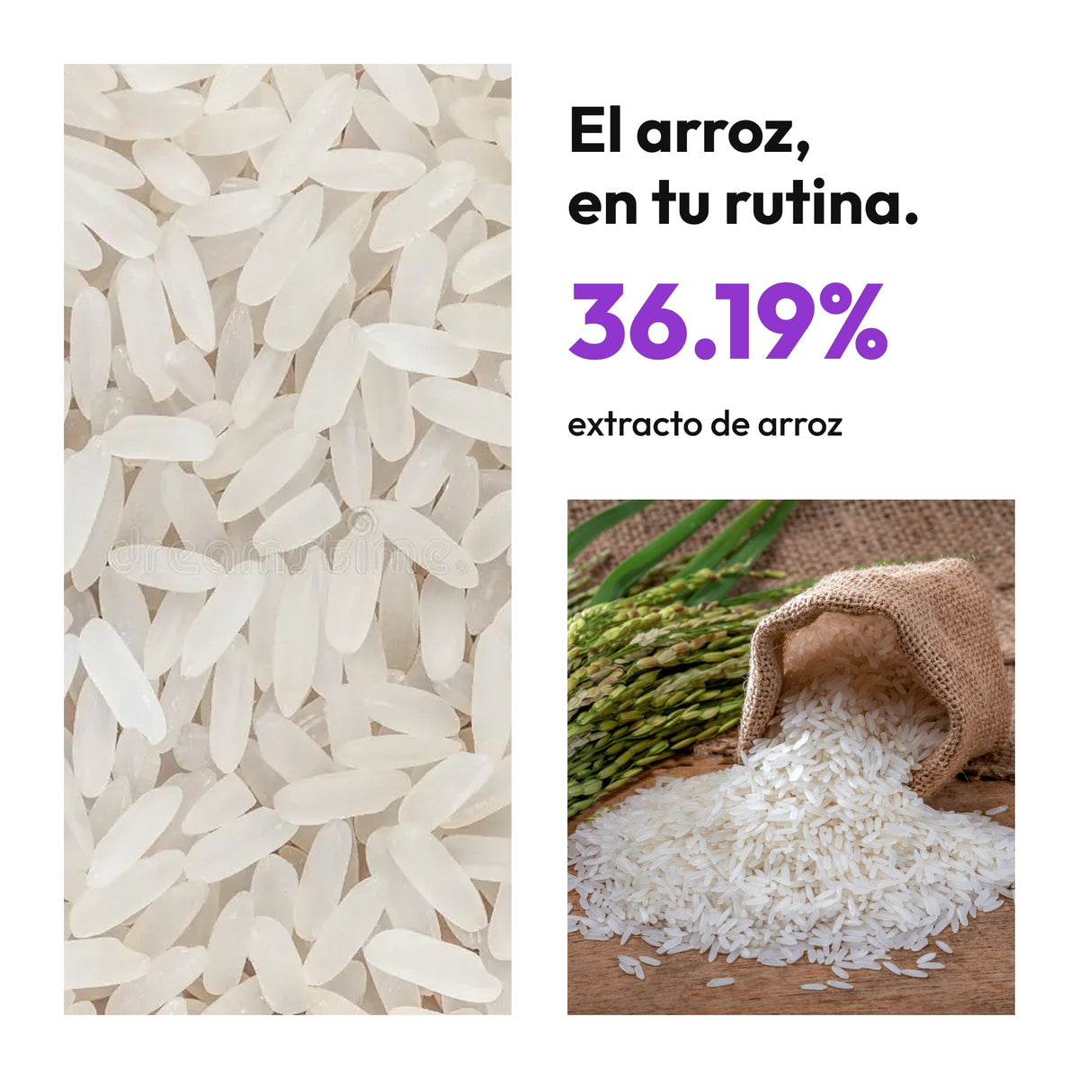 Demaf Rice Gel Cleanser 150 ml · Ingrediente · arroz