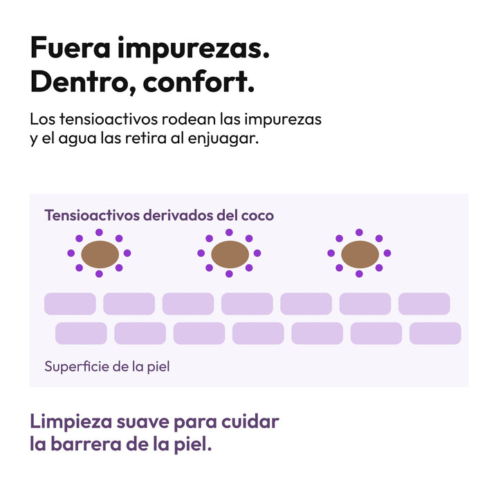 Demaf Rice Gel Cleanser 150 ml · Cómo limpia · diagrama
