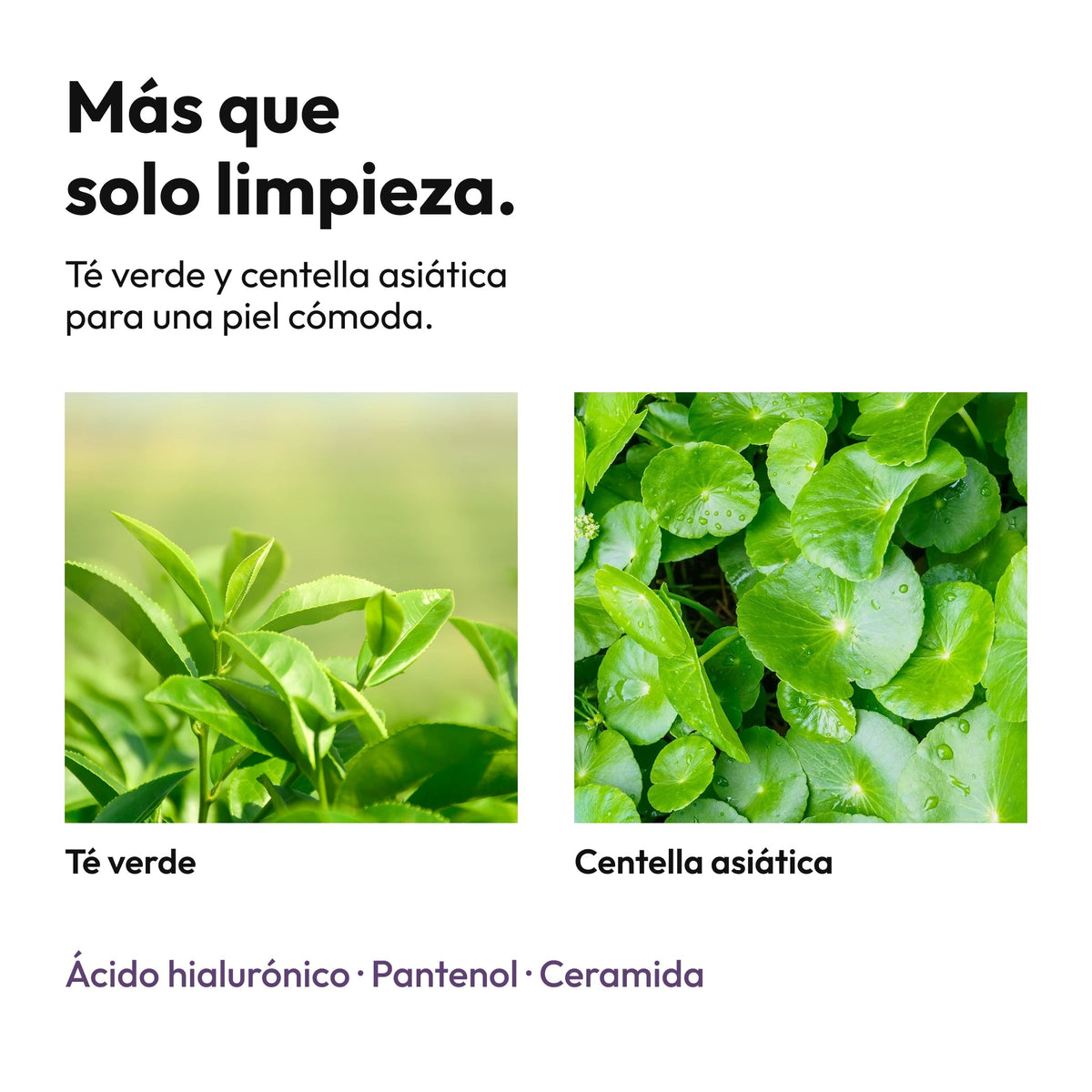 Demaf Rice Gel Cleanser 150 ml · Ingredientes de cuidado