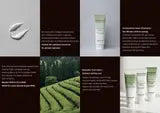 Anoetic Matcha PDRN Ectoin Panthenol Cream · página 3