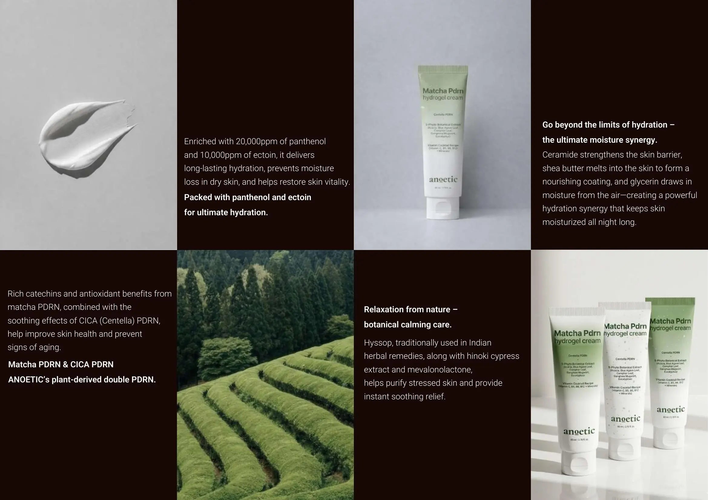 Anoetic Matcha PDRN Ectoin Panthenol Cream · página 3